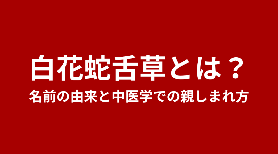 白花蛇舌草（びゃっかじゃぜつそう）とは？名前の由来と中医学での親しまれ方