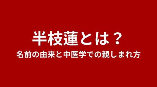 半枝蓮（はんしれん）とは？名前の由来と中医学での親しまれ方