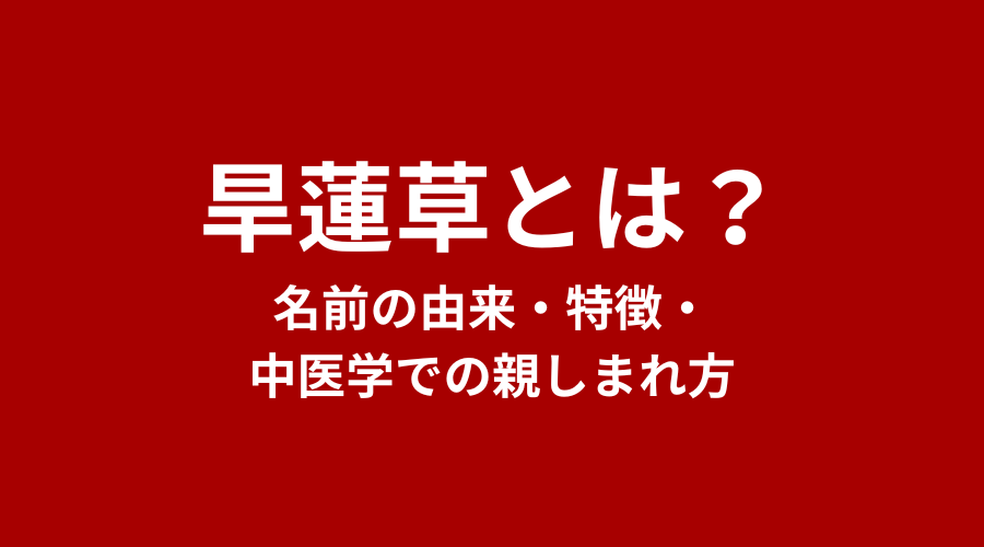 旱蓮草（かんれんそう）とは？別名・特徴・中医学での親しまれ方【完全ガイド】