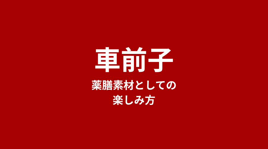 車前子（しゃぜんし）とは？オオバコの種・特徴・薬膳での親しまれ方【完全ガイド】