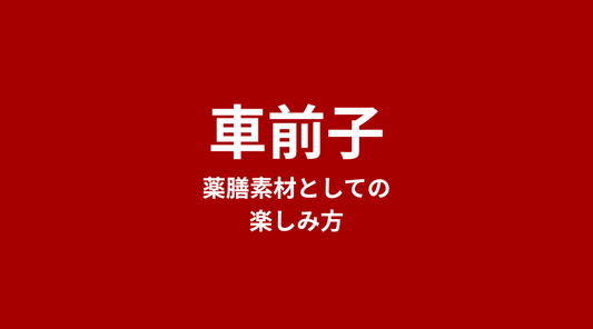 車前子（しゃぜんし）とは？オオバコの種・特徴・薬膳での親しまれ方【完全ガイド】