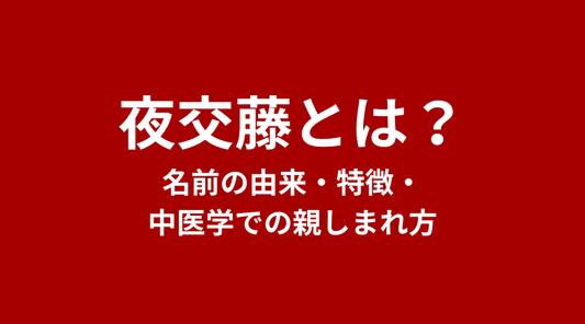 夜交藤（やこうとう）とは？名前の由来・特徴・中医学での親しまれ方