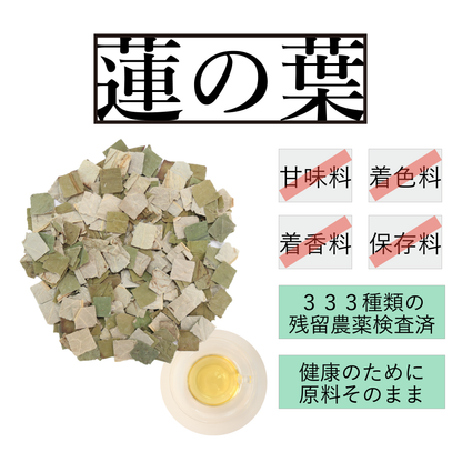蓮の葉茶 農薬検査済 荷葉 蓮葉