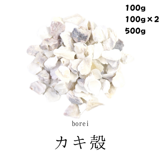 かき殻(牡蛎)ぼれい