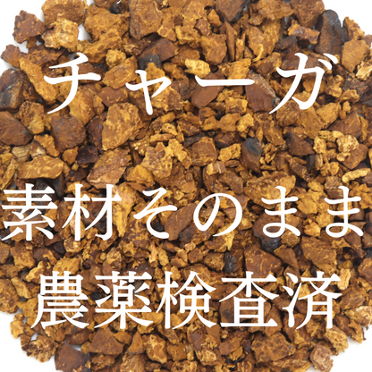 チャーガ茶 農薬検査済 無添加 チャガ茶 シベリア霊芝