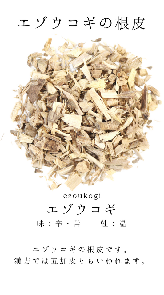 エゾウコギ　五加皮