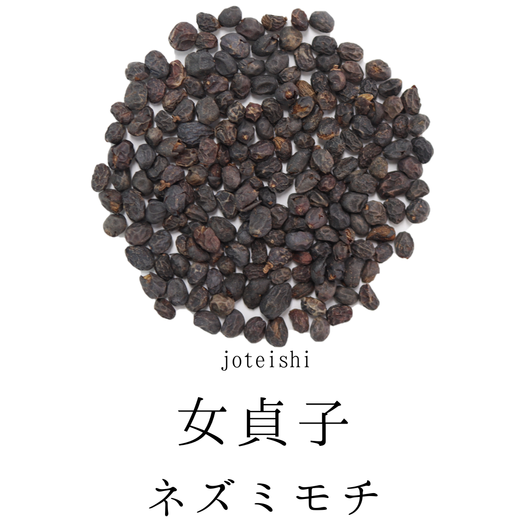 女貞子茶 農薬検査済 じょていし　ネズミモチ