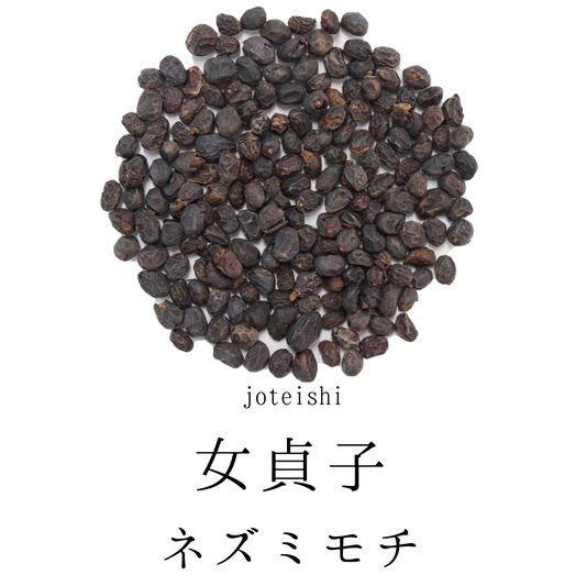 女貞子茶 農薬検査済 じょていし　ネズミモチ