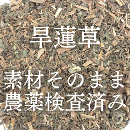 旱蓮草茶 農薬検査済 無添加 かんれんそう