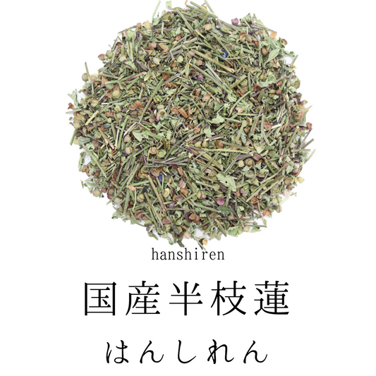 【国産】半枝蓮茶　甘味料、着色料、保存料不使用。残留農薬検査済み。