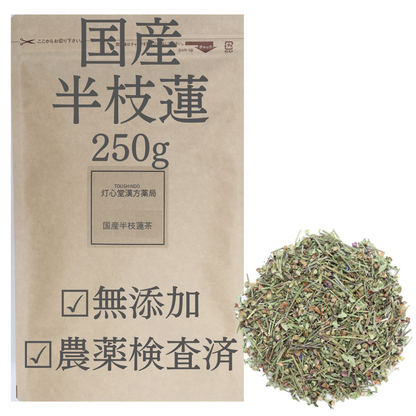 【国産】半枝蓮茶　甘味料、着色料、保存料不使用。残留農薬検査済み。