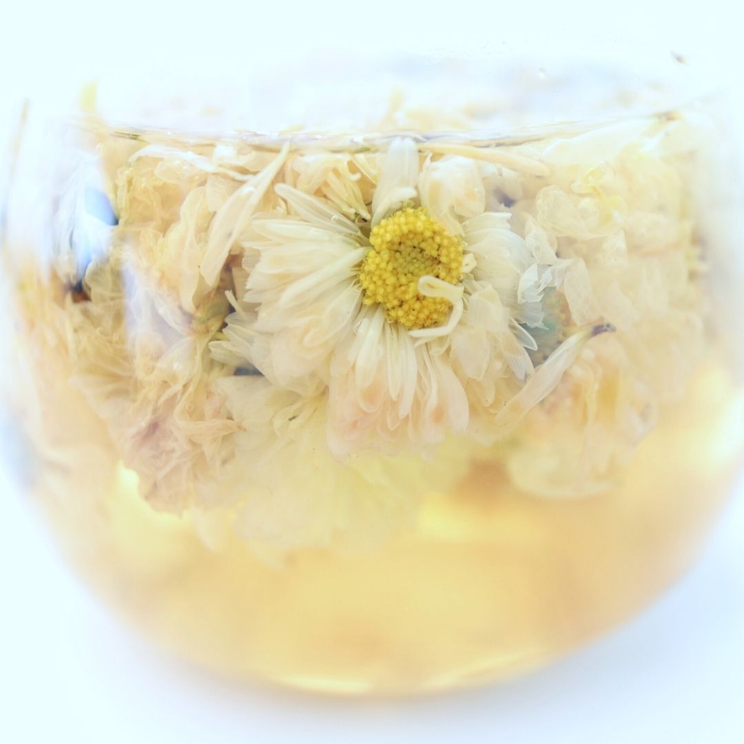 菊花茶 農薬検査済 杭菊花