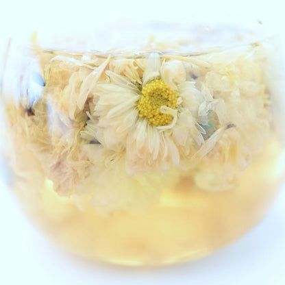 菊花茶 農薬検査済 杭菊花