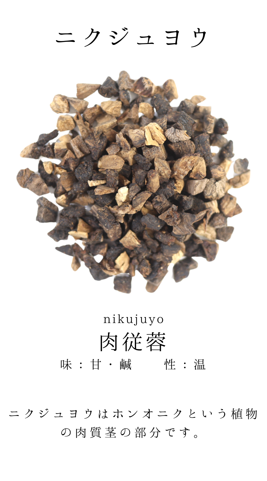 肉縦容(にくじゅよう)　農薬検査済み