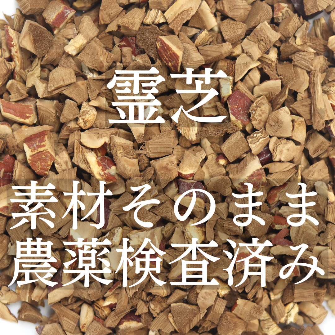 霊芝茶 農薬検査済 無添加 れいし
