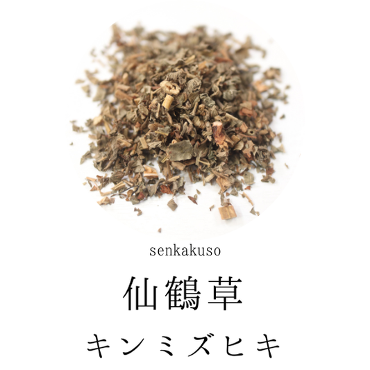 仙鶴草 農薬検査済 センカクソウ キンミズヒキ