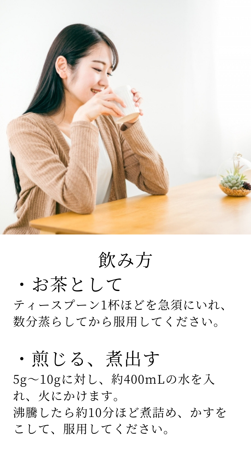 オオバコの種子 しゃぜんし(車前子)　