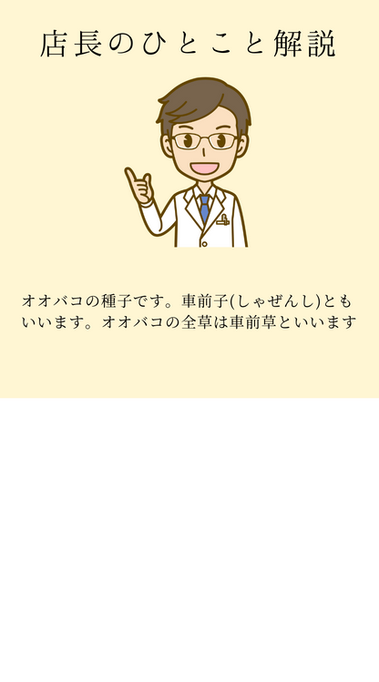 オオバコの種子 しゃぜんし(車前子)　